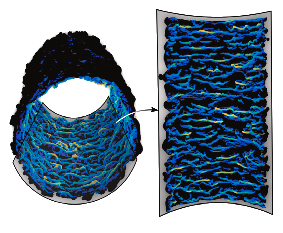 A methodology for the 3D characterization of surfaces using X-ray ...